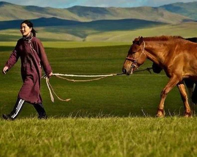 İslamiyet Öncesi Türklerde Ekonomik Hayat 5 ekonomikhayat