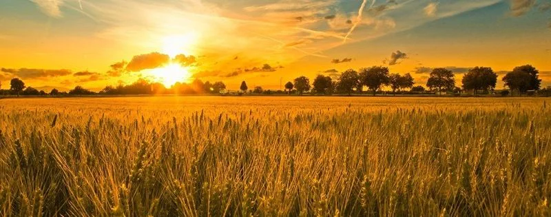 toprakturkislam