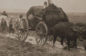 ikinci balkan savaşı