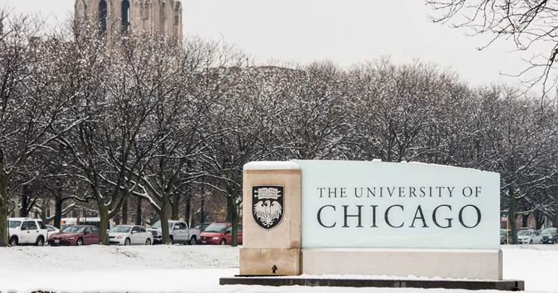 The University Of Chicago