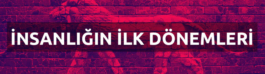 İnsanlığın İlk Dönemleri 1 Insanligin Ilk Donemleri