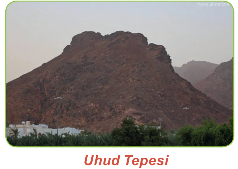 Hz. Muhammed (S.A.V) ve İslamiyet 2 image 19